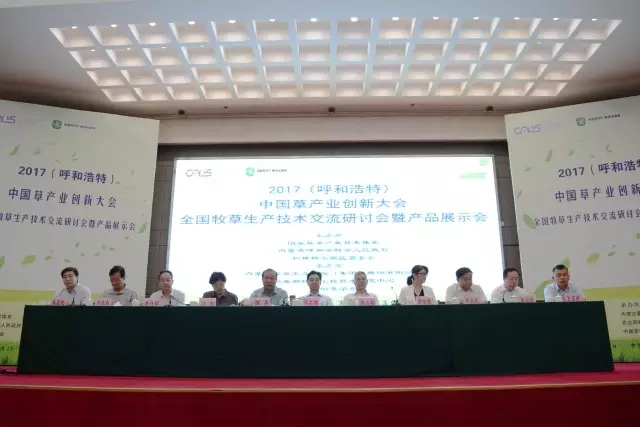 逐梦国际官方网站图片