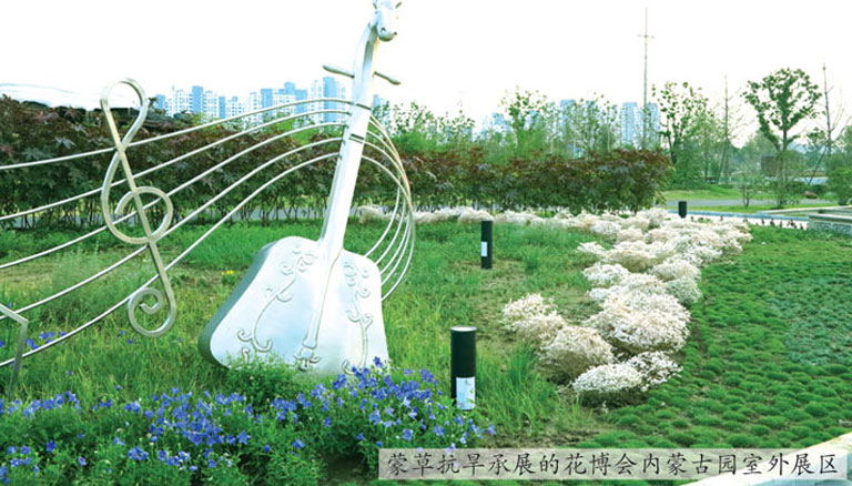 逐梦国际 86373