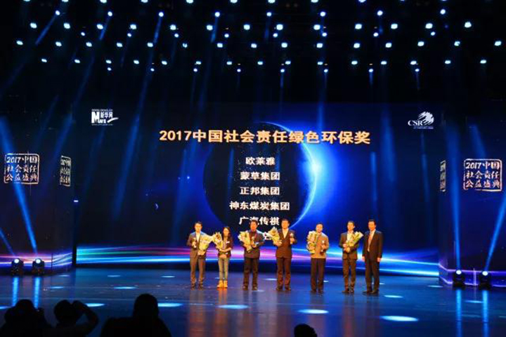 逐梦国际官方网站图片