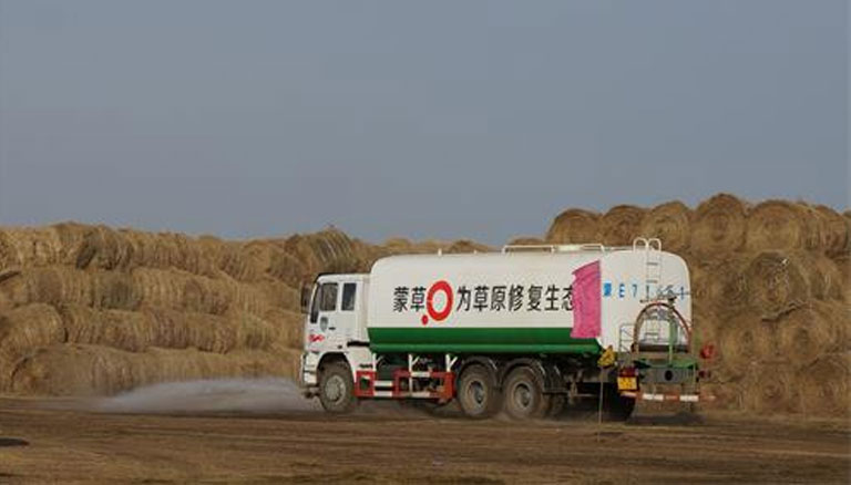 逐梦国际 2c155