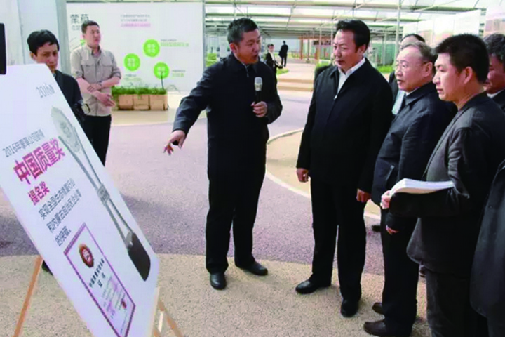 逐梦国际官方网站图片