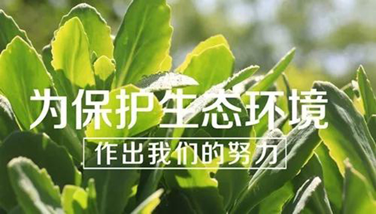 逐梦国际 bd7cb