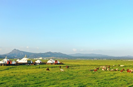 逐梦国际 bcf23