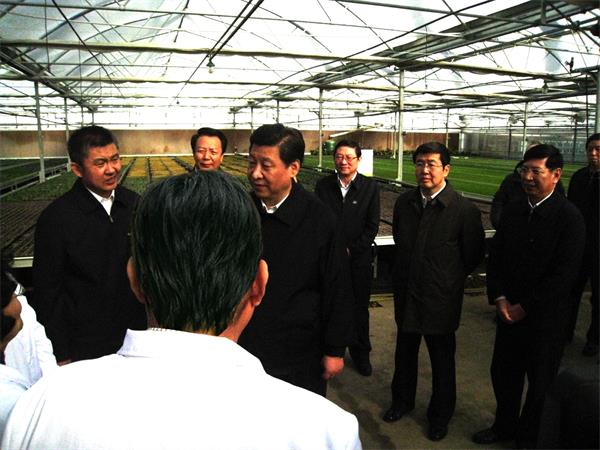 逐梦国际官方网站图片