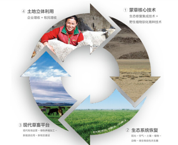 逐梦国际官方网站图片