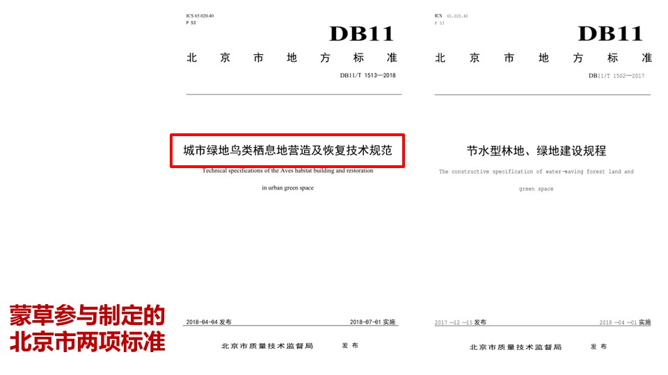 20191119/33ef52b462aeb7e1c0b624eea308facc.JPG 逐梦国际 0d465