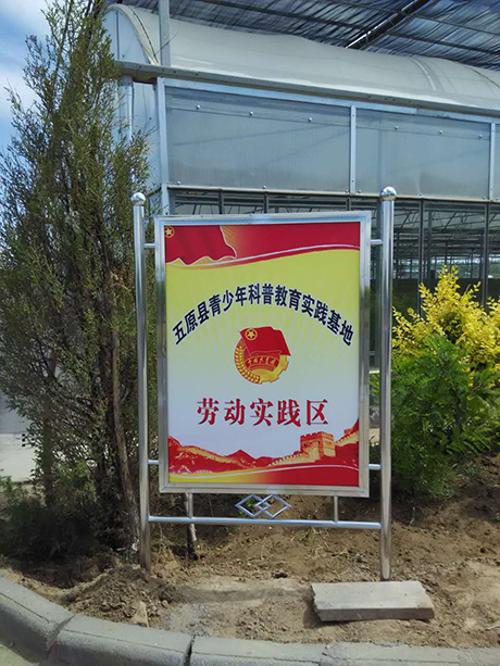 逐梦国际官方网站图片