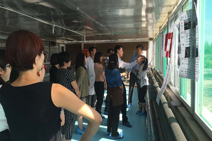 逐梦国际官方网站图片
