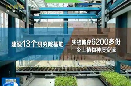 逐梦国际 01f4b