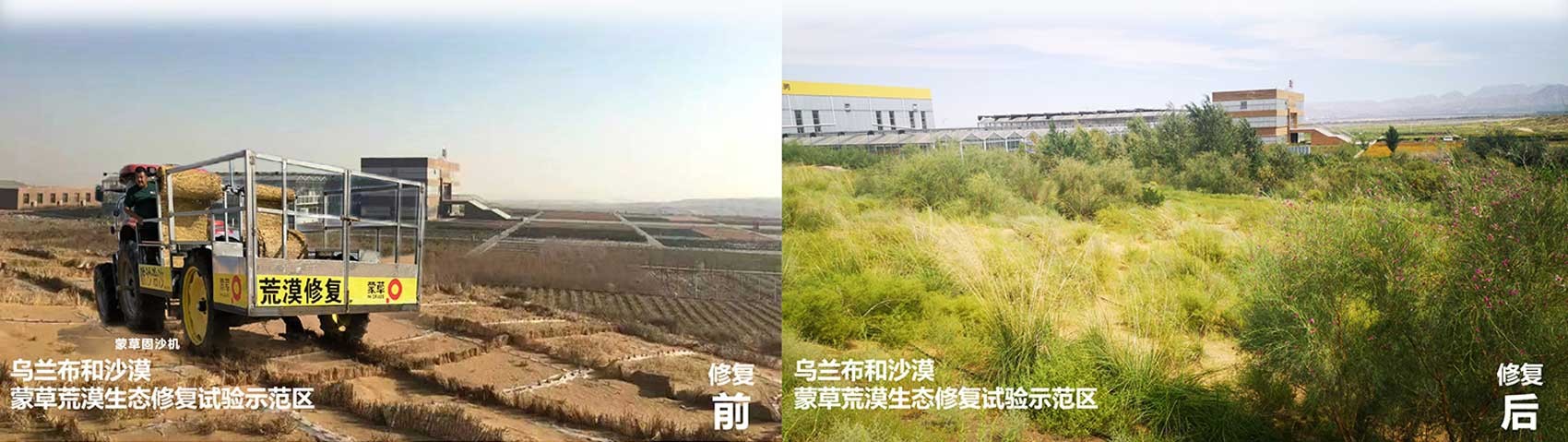 逐梦国际 59670