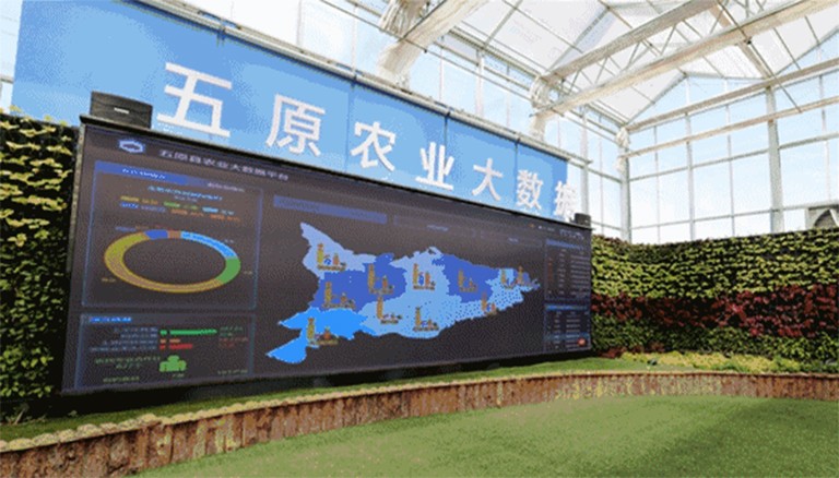 逐梦国际 d7136