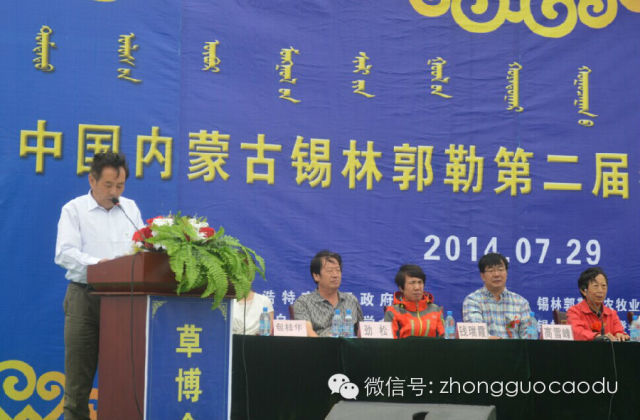 逐梦国际官方网站图片