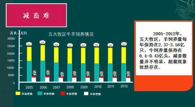 逐梦国际官方网站图片