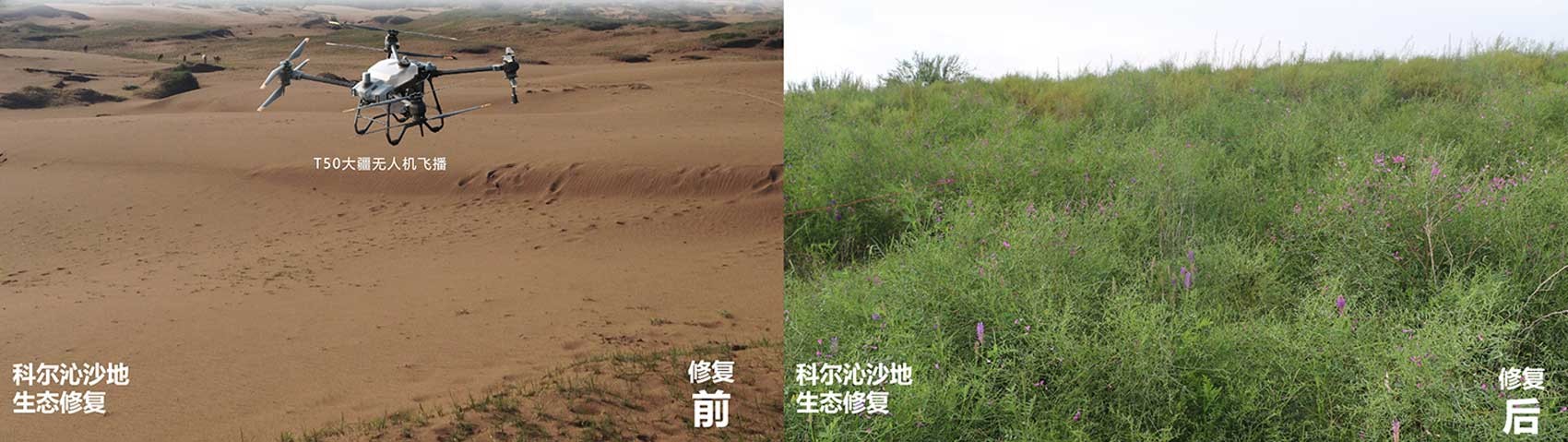 逐梦国际 62fc1