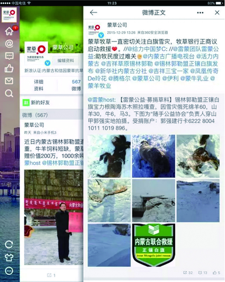 逐梦国际官方网站图片