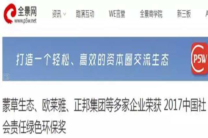 逐梦国际官方网站图片