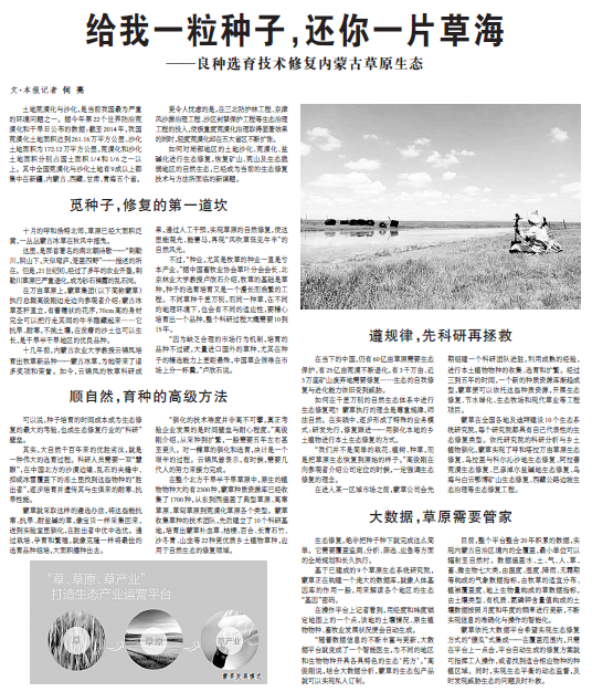 逐梦国际 bfa0c