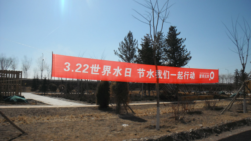 逐梦国际官方网站图片