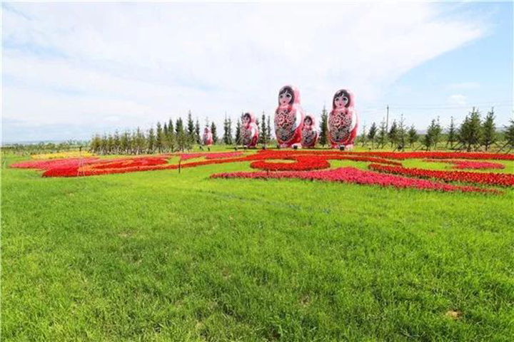 逐梦国际官方网站图片
