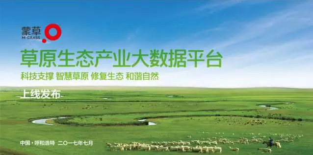 逐梦国际官方网站图片