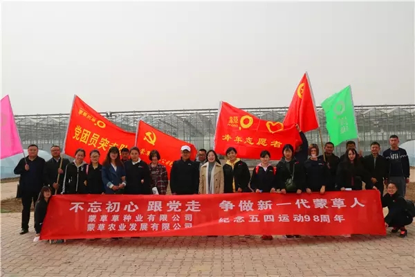 逐梦国际官方网站图片