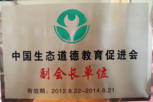 逐梦国际官方网站图片