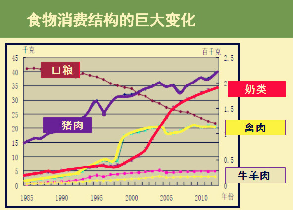 逐梦国际官方网站图片