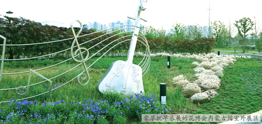 逐梦国际官方网站图片