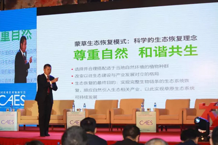 逐梦国际官方网站图片