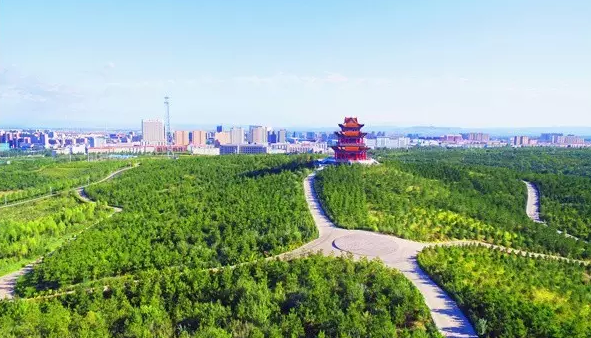 逐梦国际 c9656