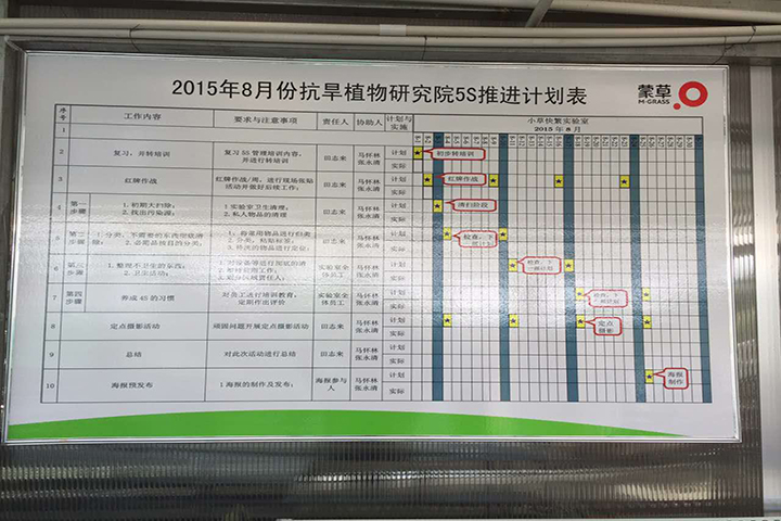 逐梦国际官方网站图片