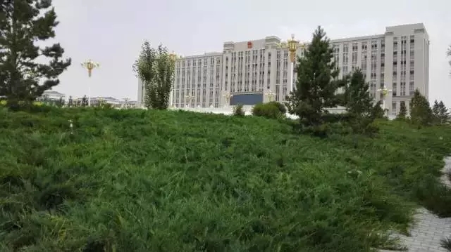 逐梦国际官方网站图片