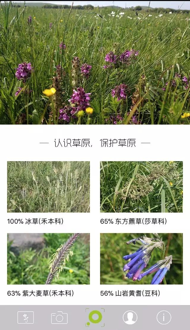 逐梦国际官方网站图片