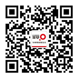 逐梦国际官方网站图片