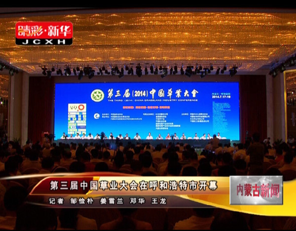 逐梦国际官方网站图片