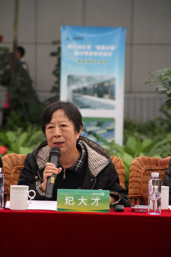 逐梦国际官方网站图片