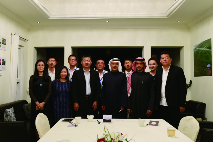 逐梦国际官方网站图片