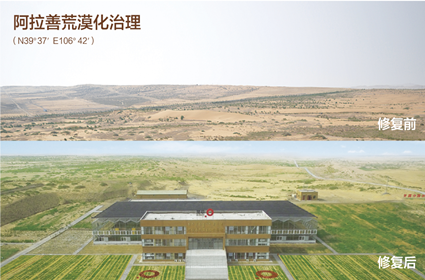 逐梦国际 eef51