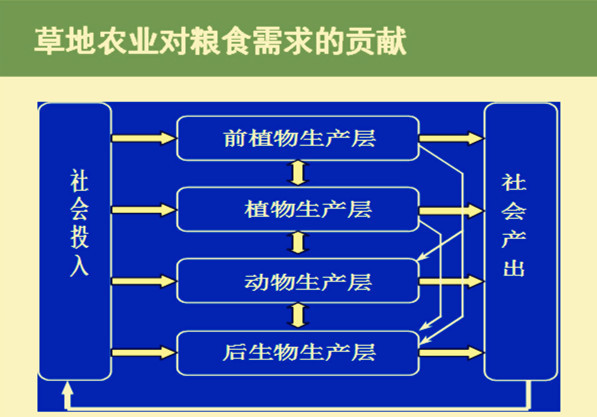 逐梦国际官方网站图片