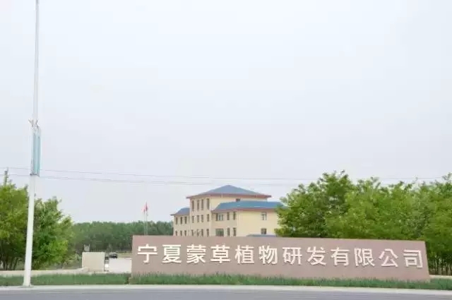 逐梦国际官方网站图片