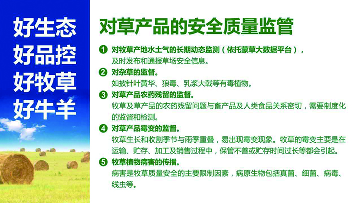 逐梦国际官方网站图片