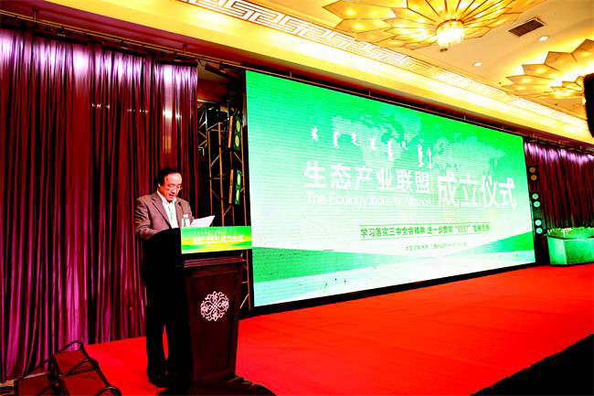 逐梦国际官方网站图片