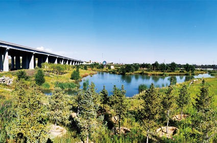 逐梦国际 76c11