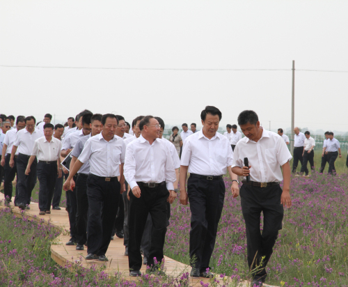 逐梦国际官方网站图片