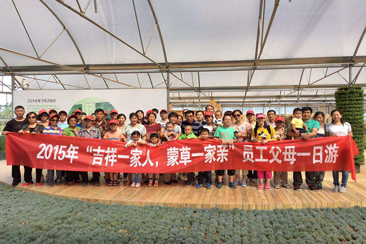 逐梦国际官方网站图片