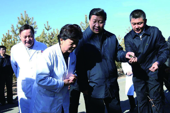 逐梦国际官方网站图片