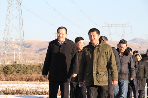 逐梦国际官方网站图片