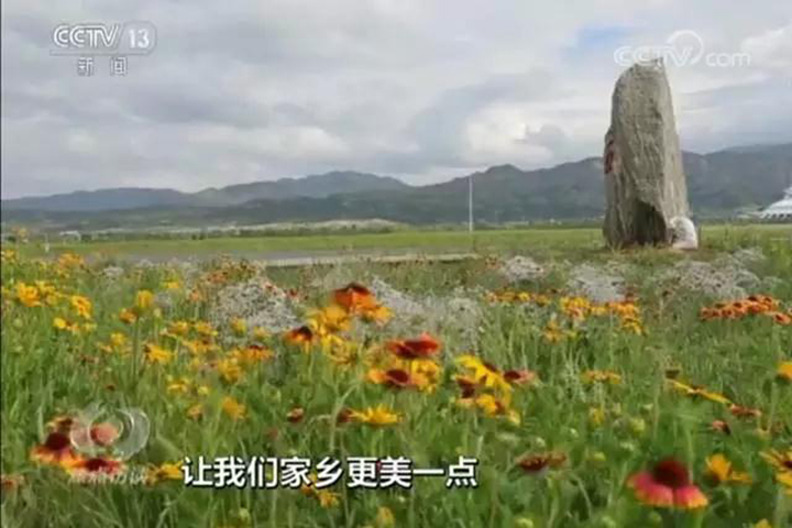 逐梦国际官方网站图片