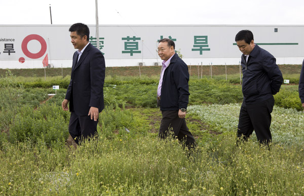 逐梦国际官方网站图片