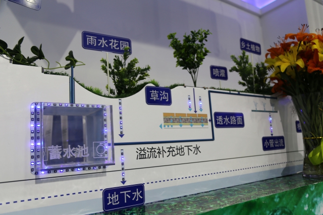 逐梦国际 4d9ed